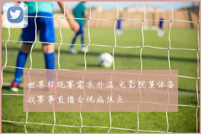 世界杯观赛需求升温 电影院集体备战赛事直播合规成焦点
