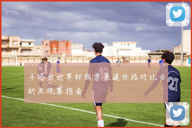 卡塔尔世界杯购票渠道价格对比分析及观赛指南