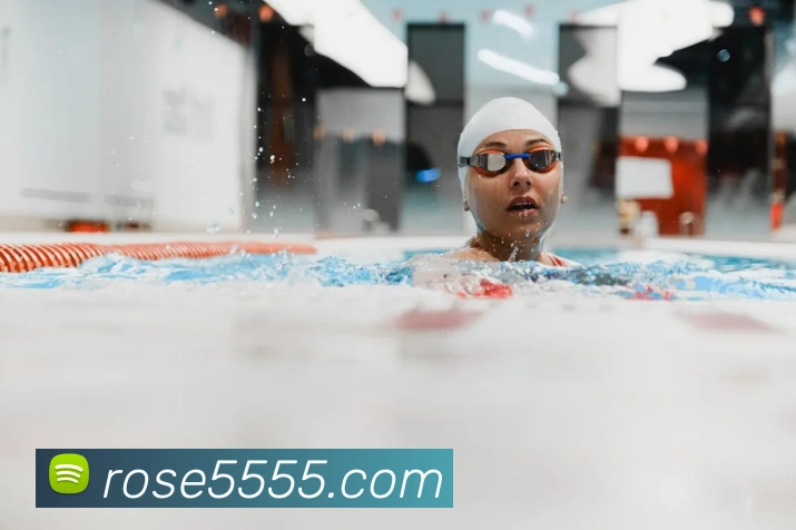 星空官网免费入口发展历程